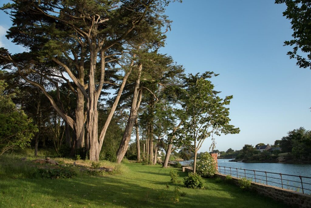 3_2020-06_CD_DSC_6535_©Claude-Roelens