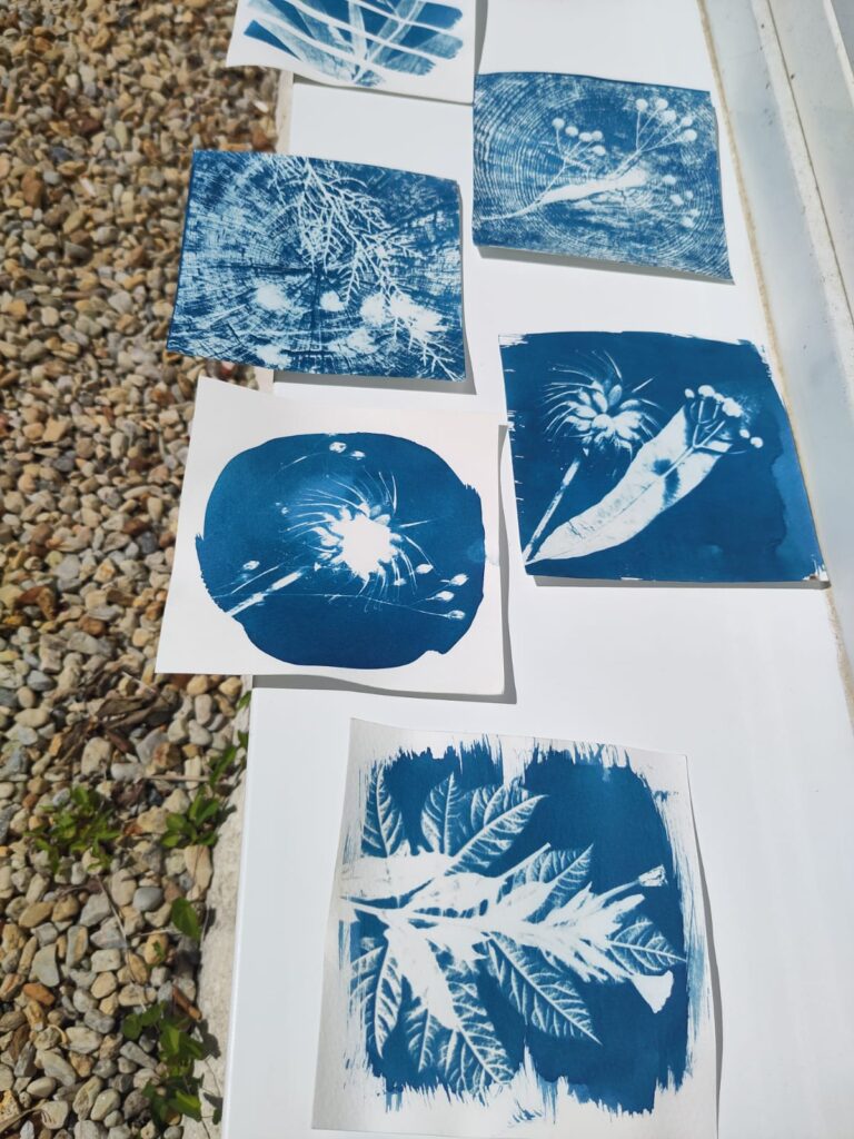 IMG-20260704-WA0004